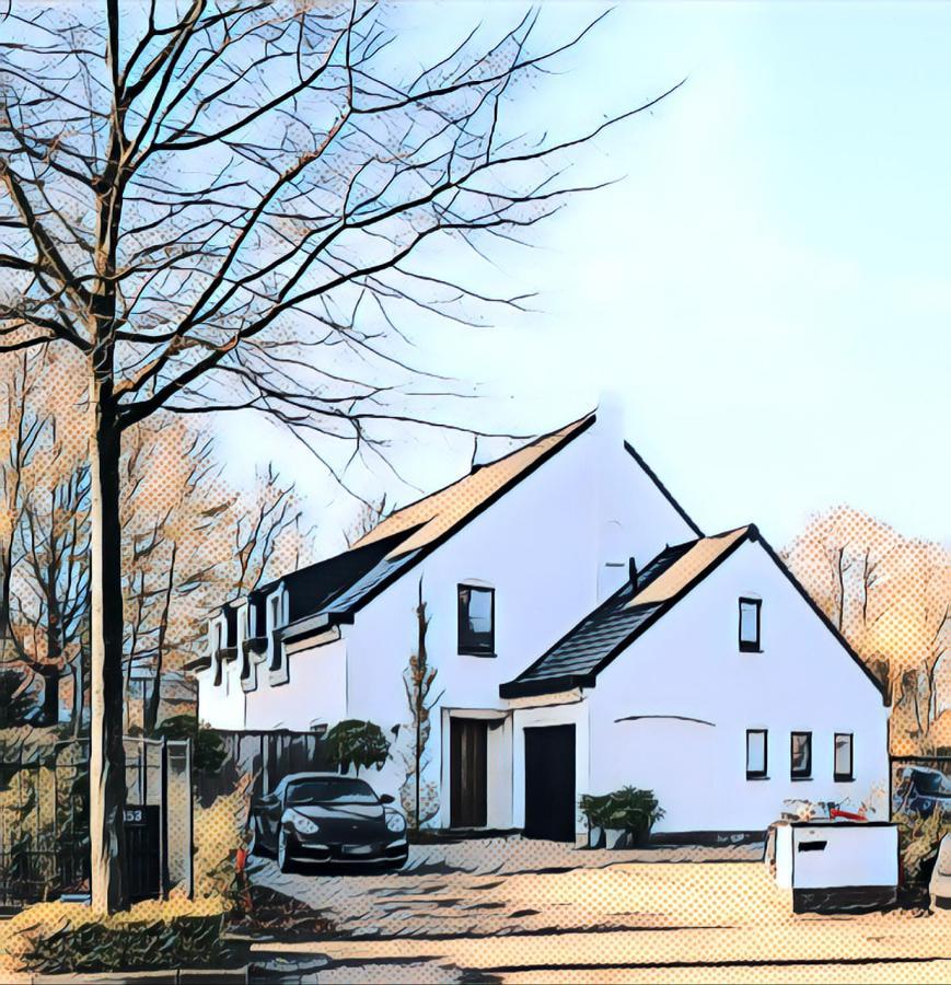 Nummer 151 Villastudios Hasselt Zewnętrze zdjęcie