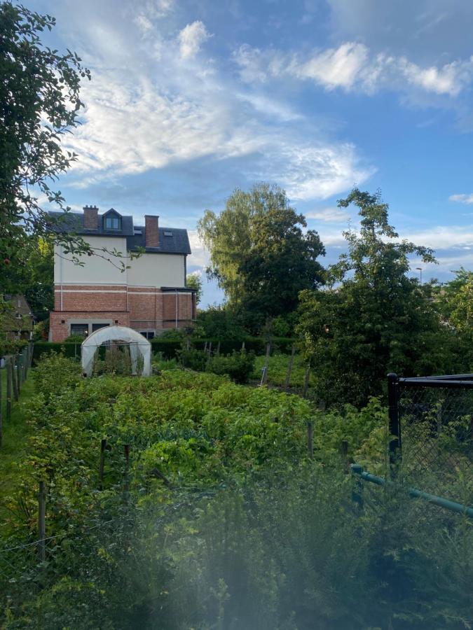 Nummer 151 Villastudios Hasselt Zewnętrze zdjęcie