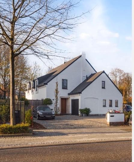 Nummer 151 Villastudios Hasselt Zewnętrze zdjęcie
