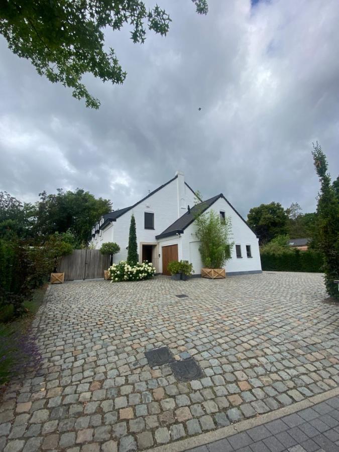 Nummer 151 Villastudios Hasselt Zewnętrze zdjęcie