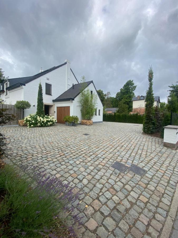 Nummer 151 Villastudios Hasselt Zewnętrze zdjęcie