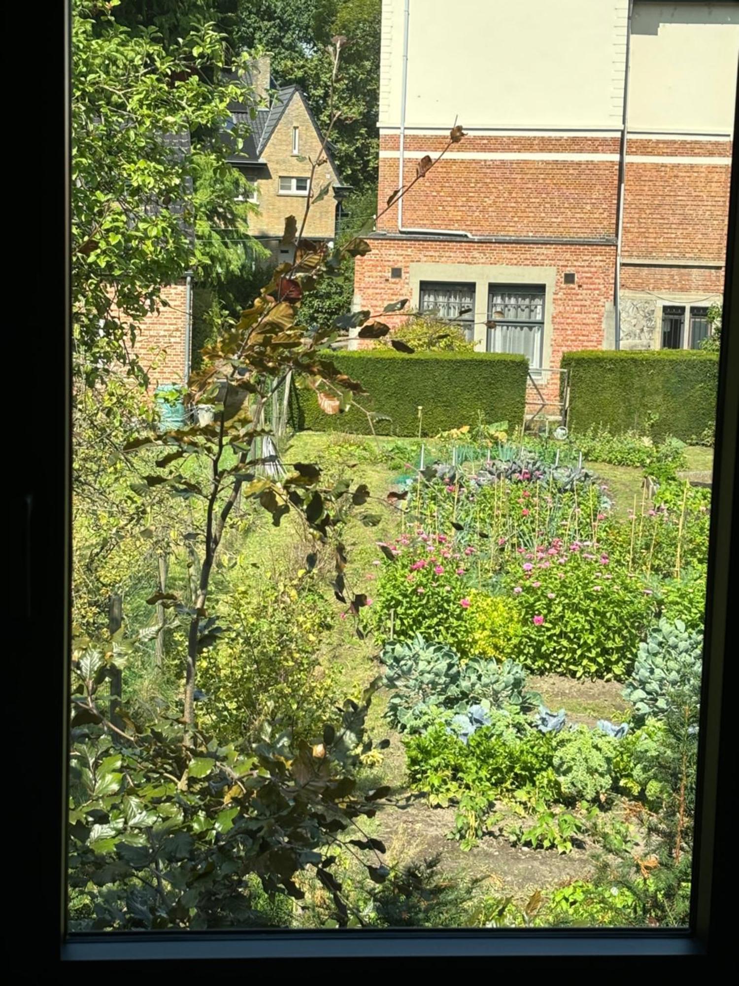 Nummer 151 Villastudios Hasselt Zewnętrze zdjęcie