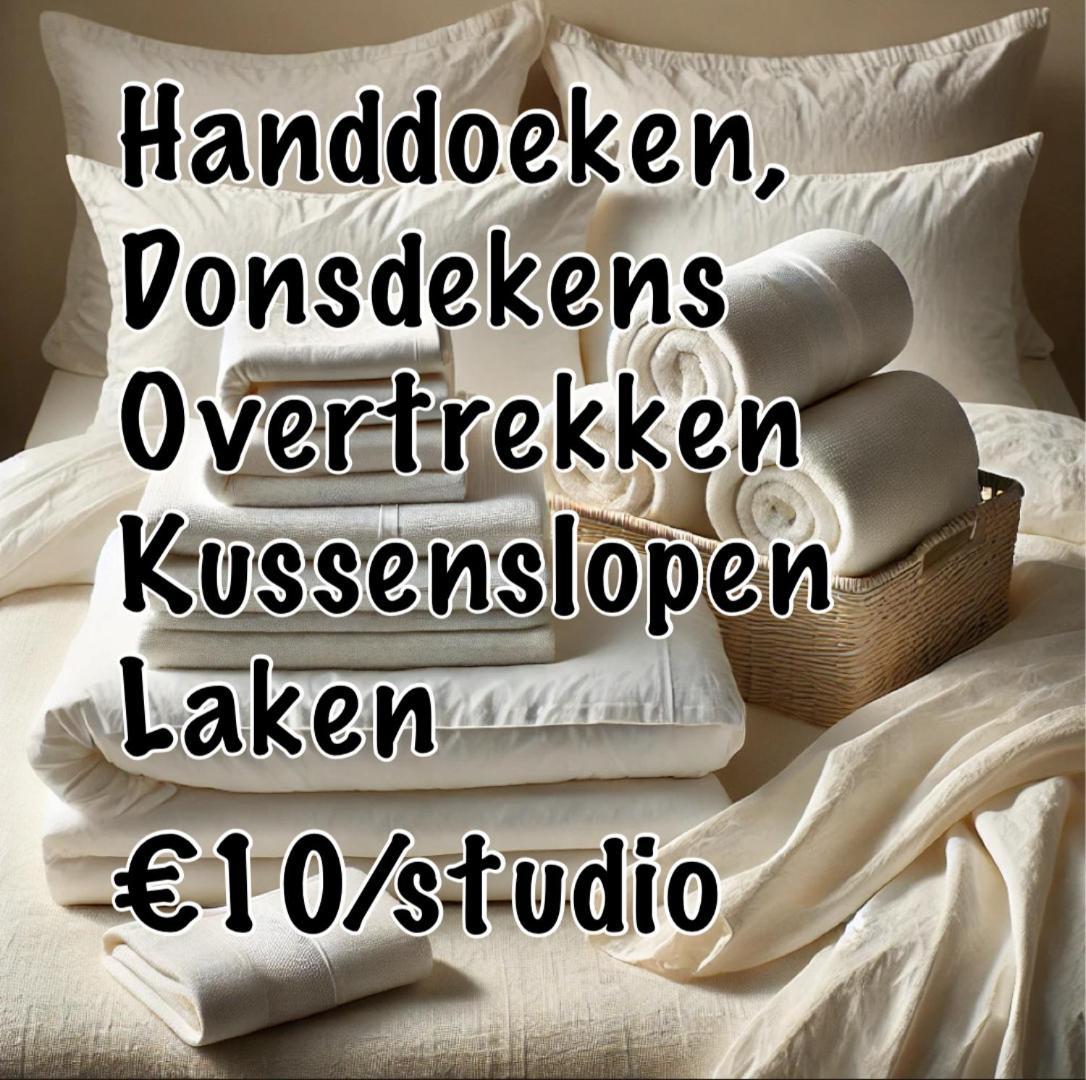 Nummer 151 Villastudios Hasselt Zewnętrze zdjęcie