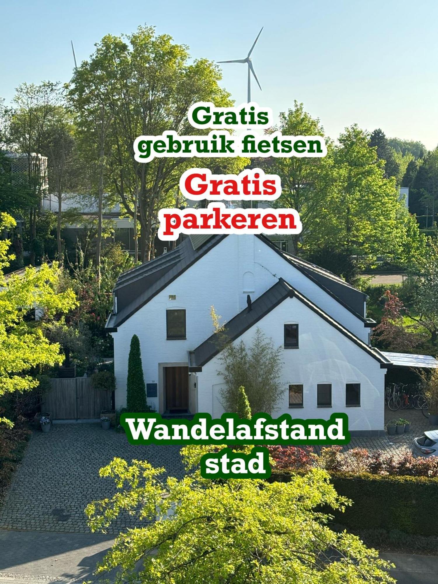 Nummer 151 Villastudios Hasselt Zewnętrze zdjęcie